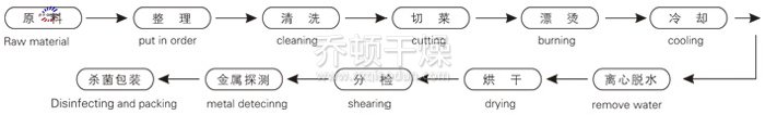 脫水蔬菜帶式干燥工藝流程